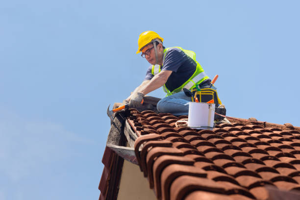 Best Roof Leak Repair  in Inez, TX